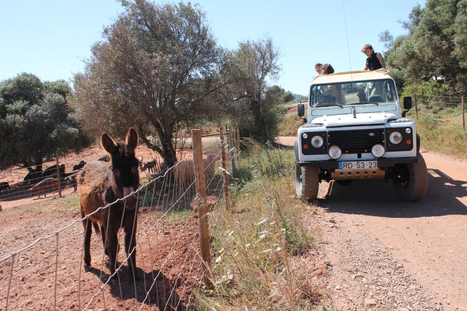 Algarve Jeep Safaris Fullday Tour. Explore Algarve - Local Culture and Tastings