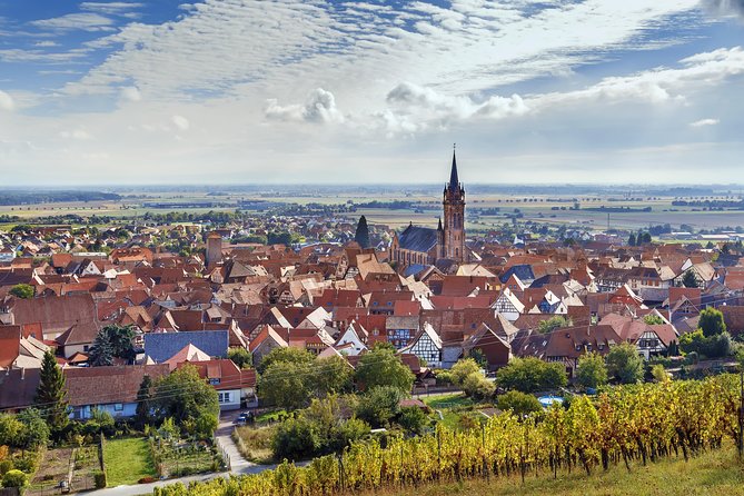 Alsace Wine Route Wineries & Tasting Small Group Guided Tour From Strasbourg - Customer Reviews and Ratings