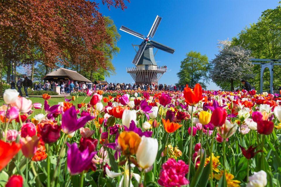 Amsterdam: Keukenhof and Zaanse Schans Windmills Day Trip - Practical Tips and Information