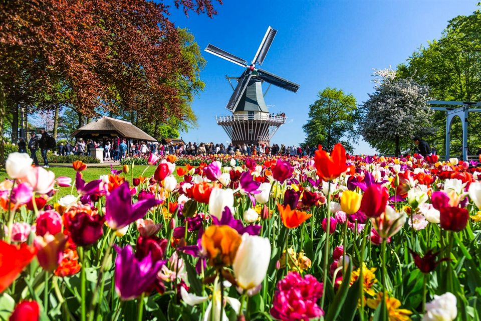 Amsterdam: Keukenhof Entry and Roundtrip Shuttle Transfer - Transportation and Accessibility