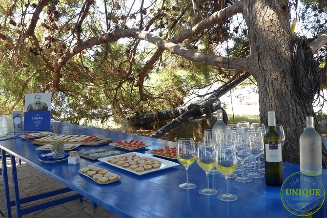 An Unforgettable Day With Fish, Wine and Olive Oil Tasting - Tasting Experience Highlights