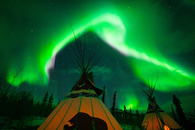 Arctic Day: Aurora Viewing Tour | Late Night - About the Tour Operator