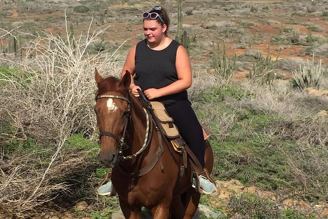 Aruba Private, 2 Hour Horseback Riding Tour For Advanced Riders - Wildlife Along the Way