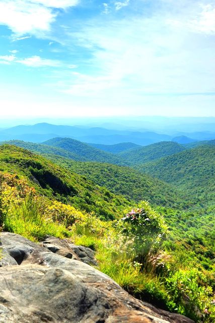 Asheville: Blue Ridge Mountains Tour for Children! - Meeting Point and Directions