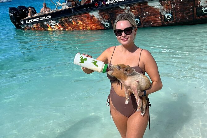 *Authentic Swimming Pigs Tour*Shark Encounter*Feed Iguanas* - Exploring Exuma Islands