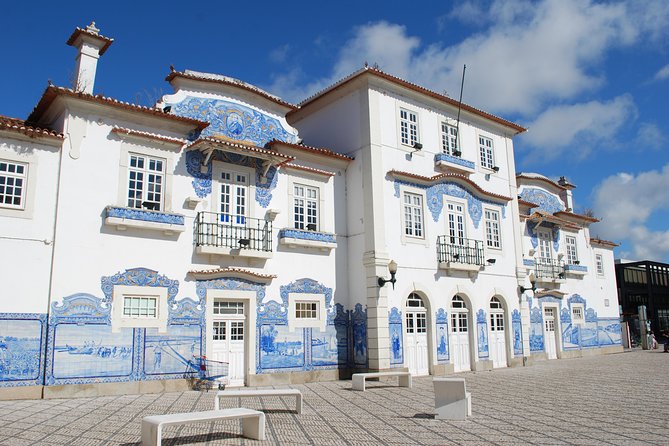 Aveiro and Costa Nova Half Day Tour From Porto With River Cruise - Unique Tiled Buildings of Costa Nova