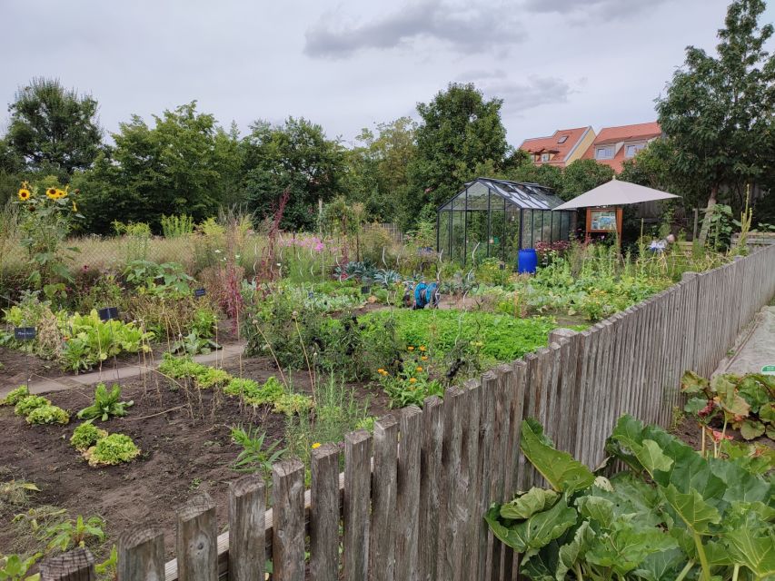 Bamberg: Guided Tour of the Gardeners District - Preparing for the Tour