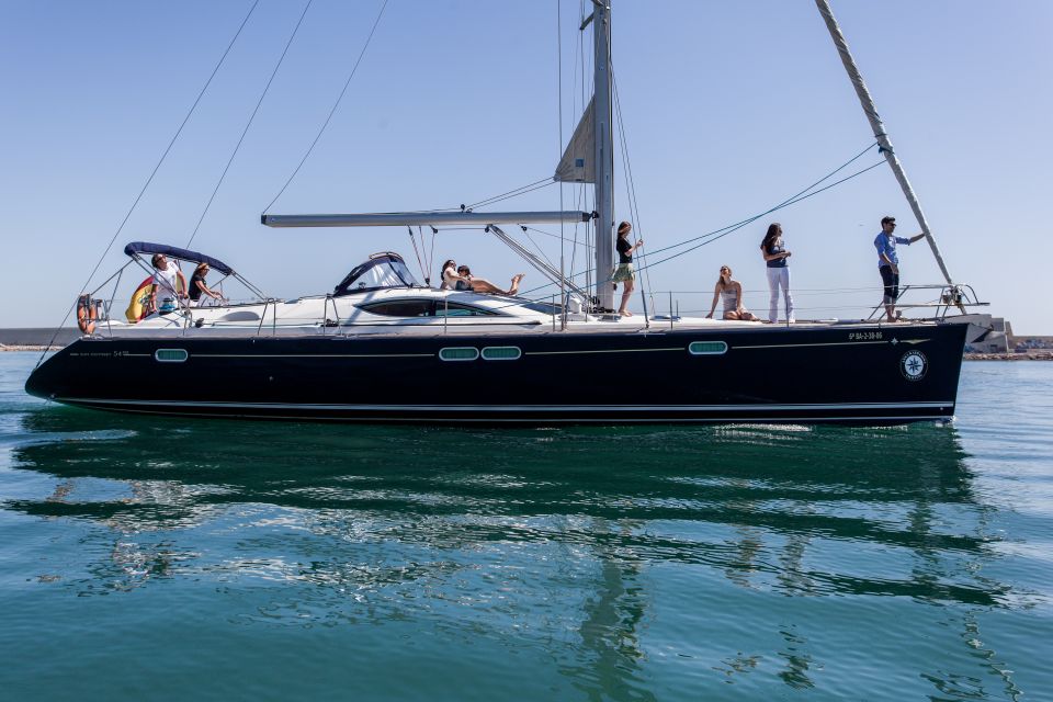 Barcelona: Private Luxury Sailing Tour - Spotting Wildlife