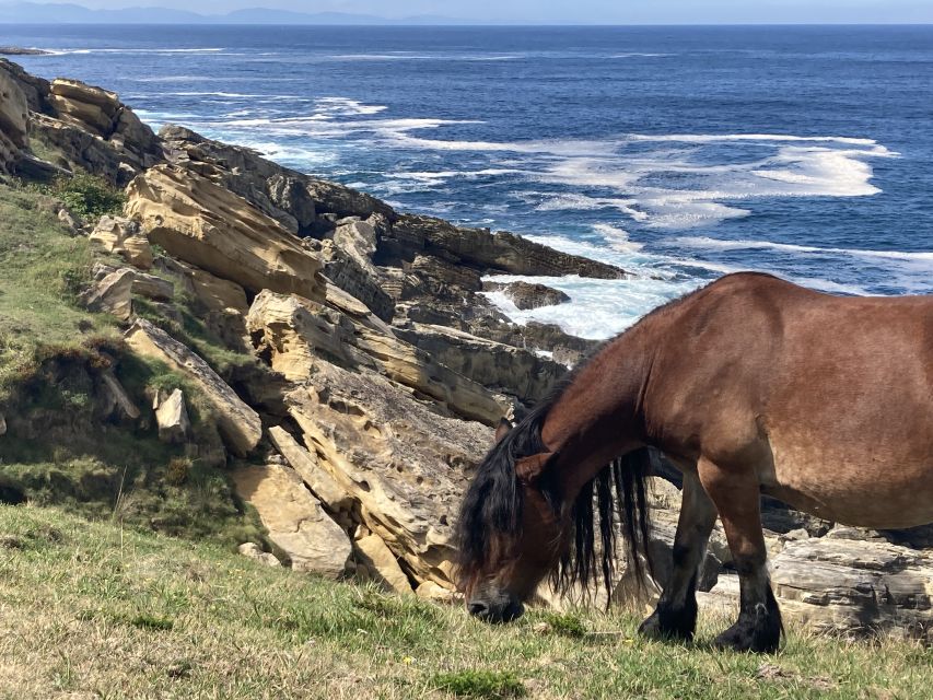 Basque Country: Game of Thrones Private Sightseeing Tour - Viewpoint Photo Stops