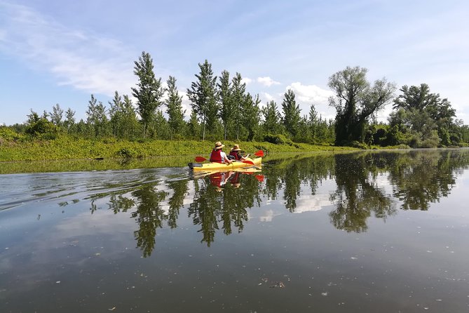 Belgrade Amazon Kayak Adventure - Highlights and Experiences