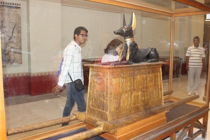 Best Day Tour To Pyramids of Giza, Sphinx And The Egyptian Museum - Transportation and Logistics