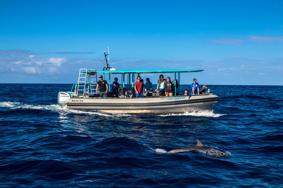 Big Island: South Kona Snorkeling and Coastline Exploration - Frequently Asked Questions