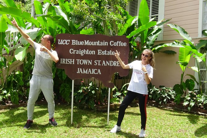 Blue Mountain Coffee and Sightseeing Tour - Operator Information