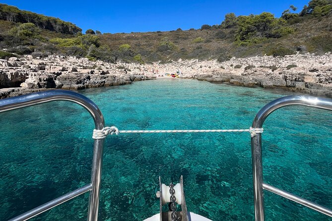 Boat Tour at Delfina Hvar - Reviewer Insights and Ratings