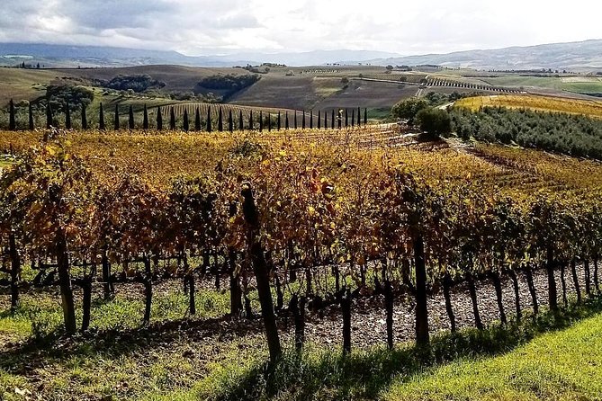 Brunello Wine Tour and Val D'orcia Landscape - Meeting, Pickup, and Tour Details