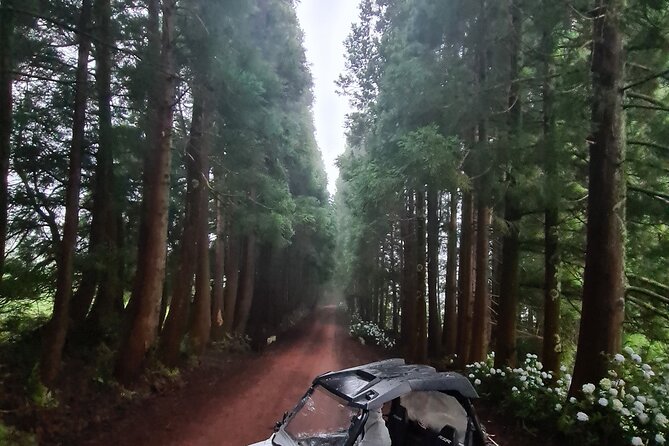 BUGGY TOUR - West / Center of the Island (Off-Road) - Island Landscapes