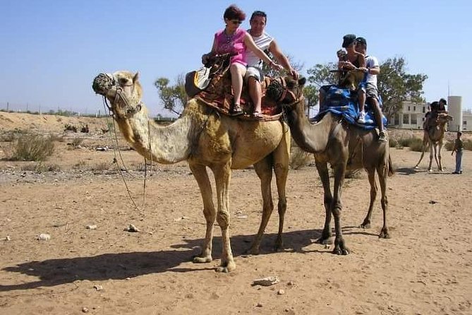 Camel Riding - Preparing for the Ride