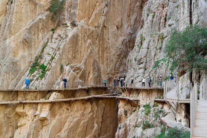 Caminito Del Rey Day Trip From Costa Del Sol - Review Ratings and Pricing