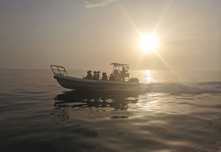 Cargèse: Piana Capo Rosso Calanques Semi-Rigid Boat Tour - Boat and Guide