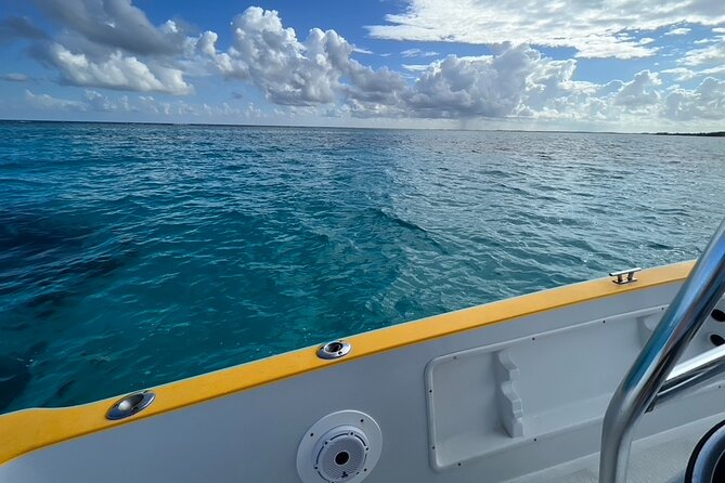 Cayman Private Luxury Charters - Stingray City, Snorkel, & More - Cancellation Policy