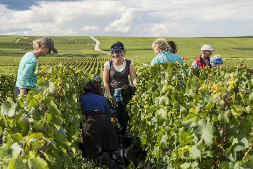 Champagne Private Tour From Your Hotel in Paris - Birthplace of Dom Pérignon