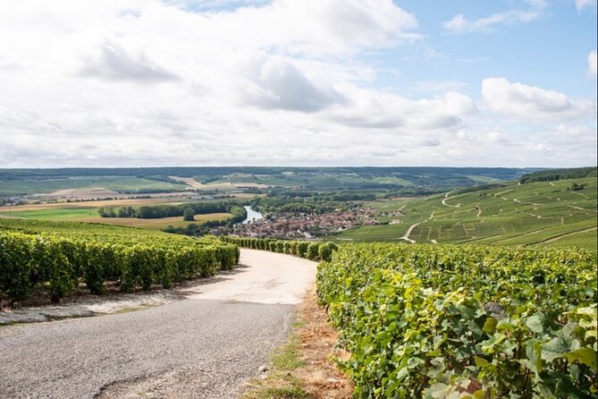 Champagne Small-Group Tour With Tastings and Lunch From Epernay - Prestigious Champagne Houses