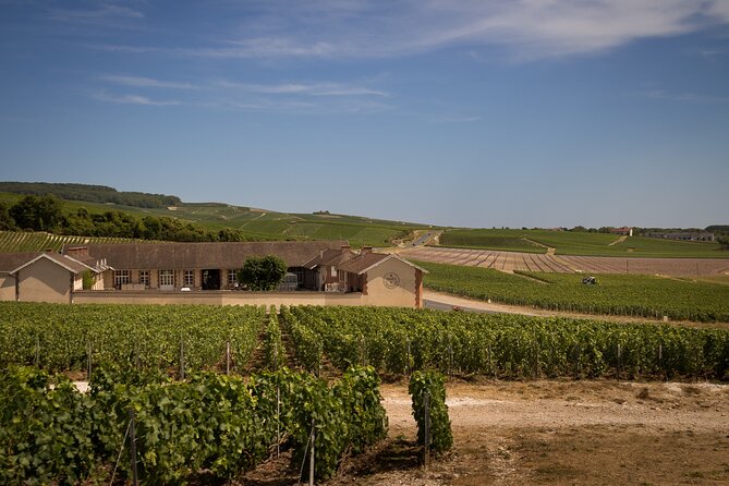 Champagne Tasting Tour Day Trip From Paris - Confirmation and Availability