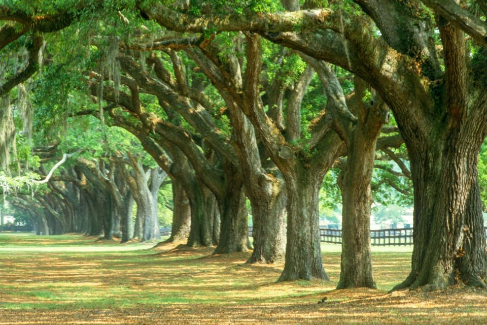 Charleston: Tour Pass With 40+ Attractions - Frequently Asked Questions