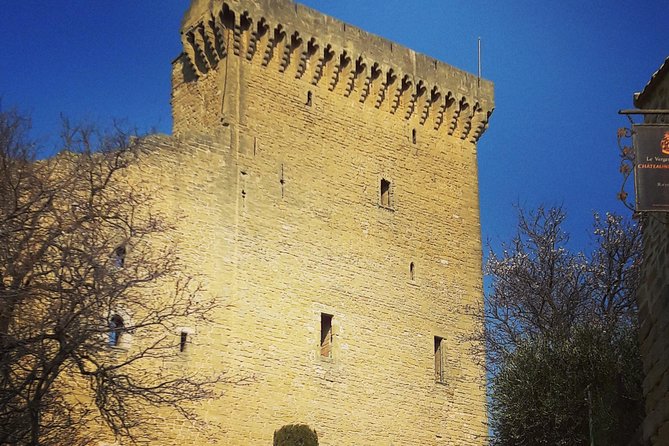 Chateauneuf-Du-Pape Prestige Wine Tour From Avignon - Meeting Point and End Point