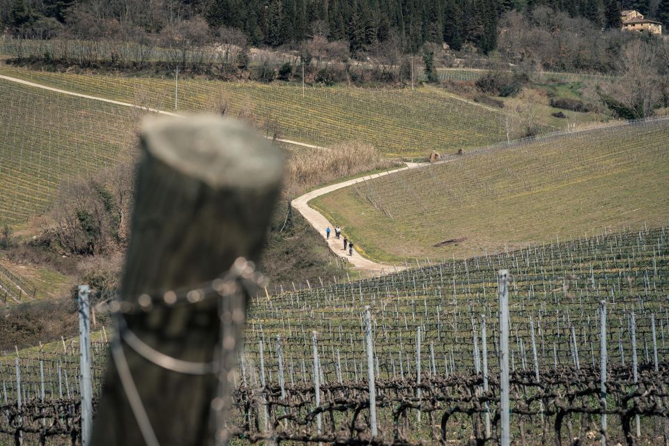 Chianti Classico: E-Bike Tour With Lunch and Tastings - Machiavellis Historic House