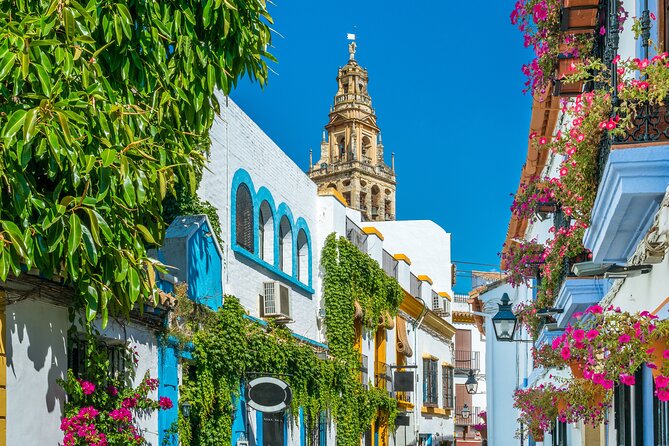 Cordoba Mosque-Cathedral & City Private Tour - Transportation and Accessibility