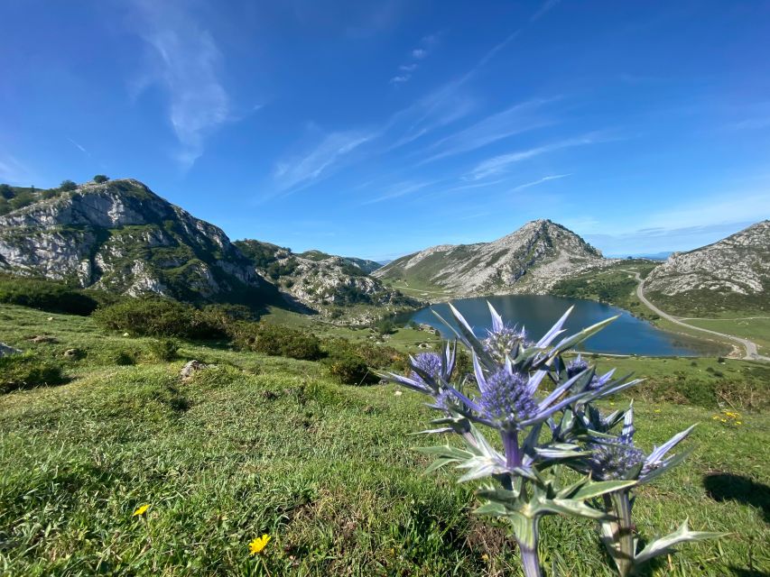 Covadonga and Lakes and Occidental Coast Private Tour - Lastres and Coastal Scenery