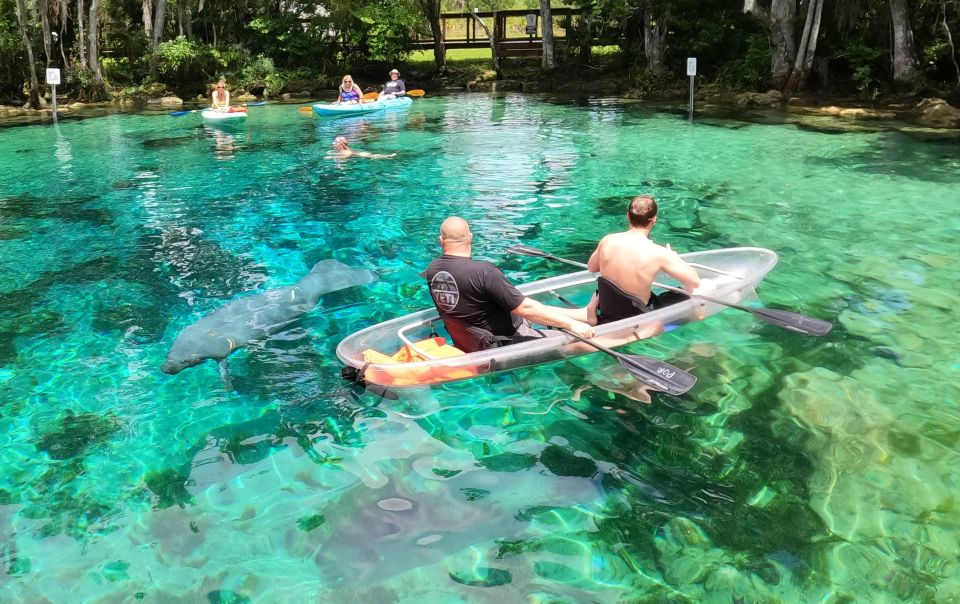 Crystal River: Springs and Manatees Clear Kayak Tour - Frequently Asked Questions