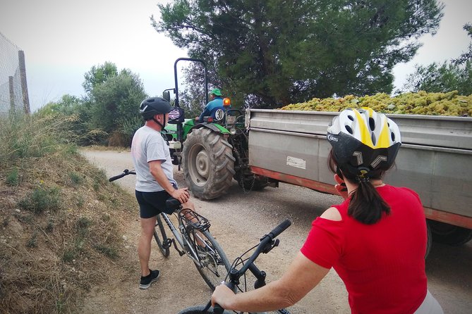 Cycling for Vino Bike Ride From Sitges, Barcelona With Hotel Pick Up. - Booking and Confirmation