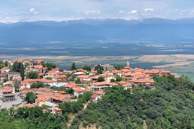 Day Tour to Kakheti Wine Region Georgia - Cancellation Policy and Logistics