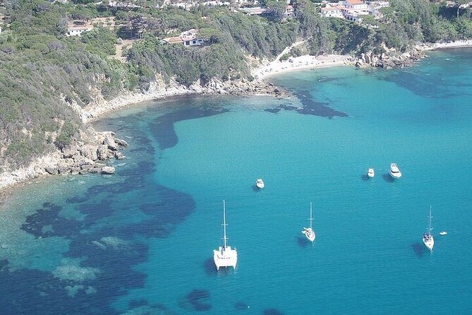 Day Trip on a Sailing Catamaran in Sardinia - Exploring Tavolara Island