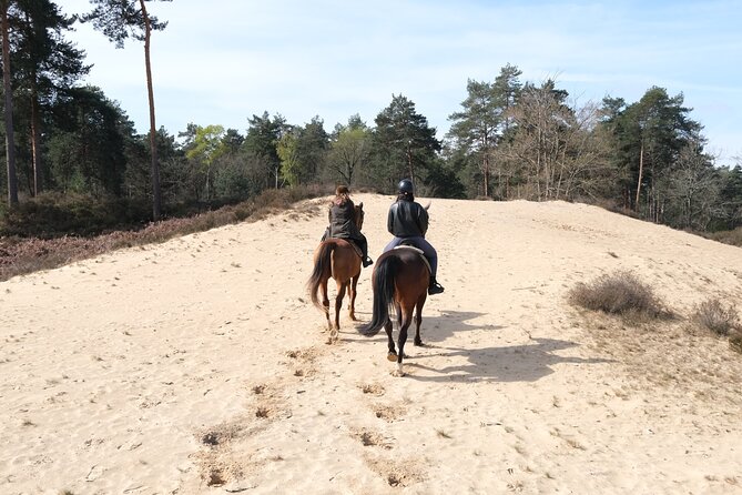 Day Trip to Fontainebleau : Horse Riding, Gastronomy and Castle - Booking and Confirmation Process