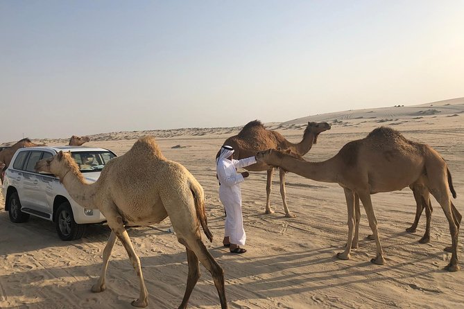 Desert Safari 7 Hours Tour With Dinner and Camp - Booking Information