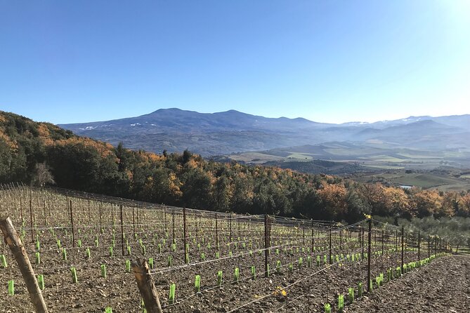 Discover Brunello Wines With Diwine Experience - Booking and Additional Information