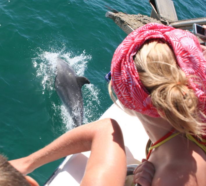 Dolphin Watching in the Wild - Half Day Private Tour - Cancellation Policy