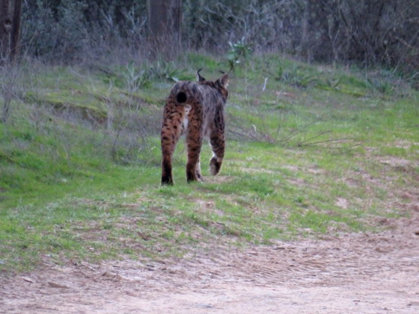 Doñana National Park: 2-Day Tour From Seville - Scenic Landscapes of the Park