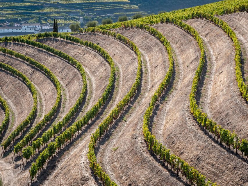 Douro Valley: 1 Day Landscape Photo Tour - Exploring UNESCO Heritage Site