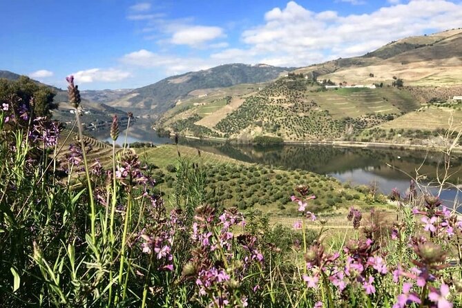 Douro Valley and Régua Panoramic Cruise With Lunch From Porto - Lunch on Board