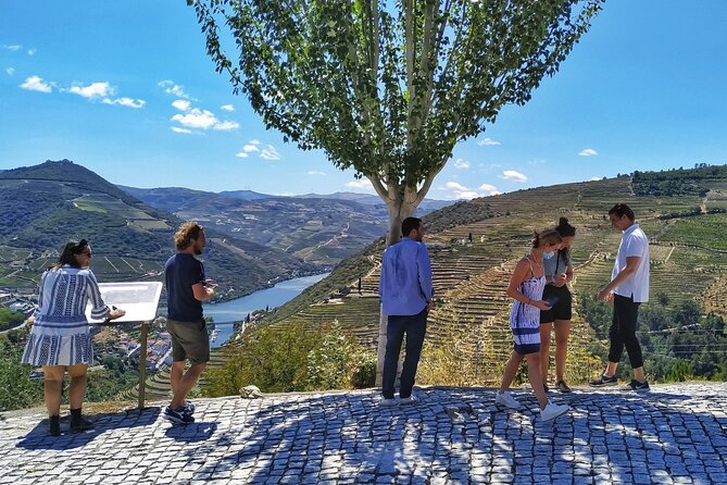 Douro Valley Prime Tour: Wine Tasting, Boat and Lunch From Porto - Savoring Delicious Lunch