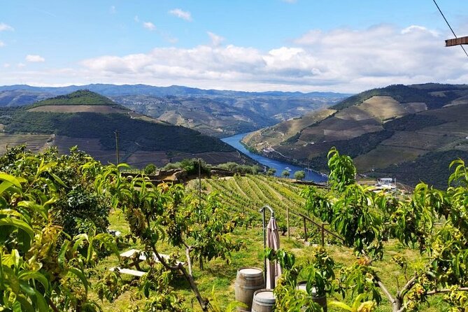 Douro Valley Small-Group Tour: 2 Wineries, Lunch, Optional Cruise - Group Size and Multilingual Guides