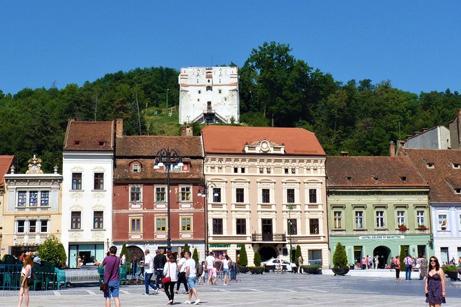 Dracula Castle, Peles and Transylvania, Private Tour - Booking and Logistics