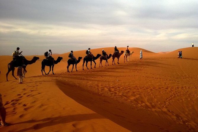 Dubai Red Dunes Safari, Camel Ride, Fire Show, BBQ Dinner - Entertainment and Restrictions