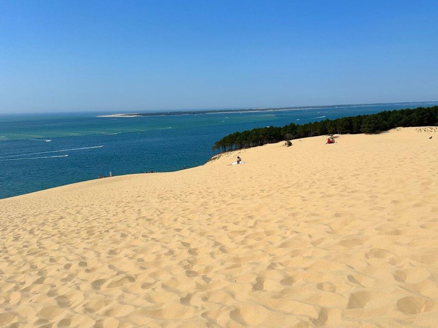 Dune of Pilat and Oyster Tasting! What Else? - Scenic Views and Highlights