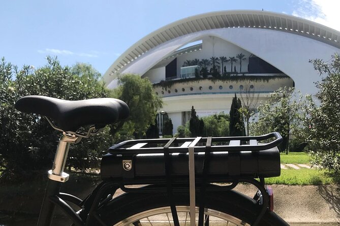 E-Bike Grand Valencia Private Tour - Valencias History and Culture