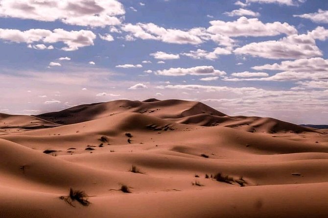 ✅ Camel Ride and Overnight in Sahara Desert Camp - Meeting Point and Pickup